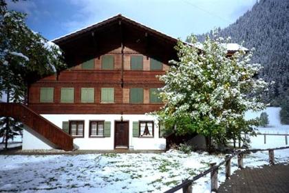 Ferienwohnung Lenk Berner Oberland 4 Bett Kinderfreubdlich Traumpanorama