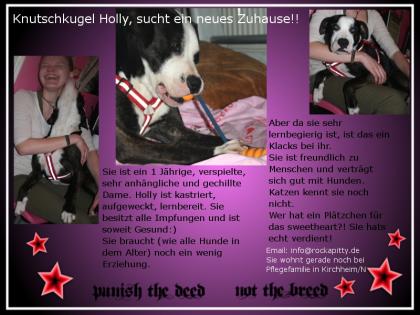 Knutschkugel Holly sucht ein neues Zuhause