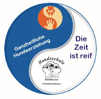 Hunde-Seminar Hilfe mein Hund zieht an der Leine