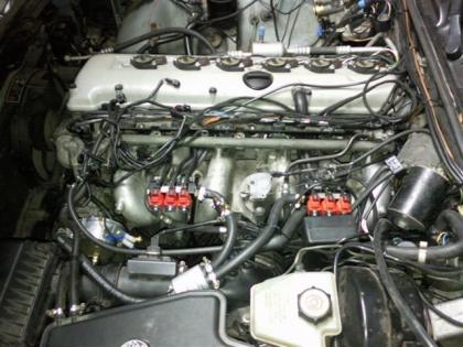 AUTOGAS PERFEKT NEU