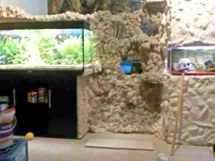 Aquarium240l