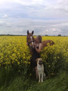 Kangal GermanischerBärenhund Welpen