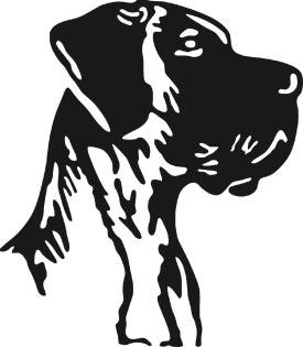 Hunderennen 28. 05. 2022 Hamm