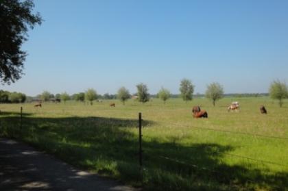 Reitanlage/Restbauernhof für gewerbl. Tierhaltung sehr gepflegt in ländl. ruhi