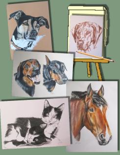 Tierportraits nach Foto