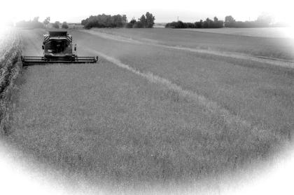 450ha Ackerfläche