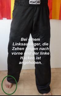 Boxgrundstellung Kickboxgrundstellung Schulungsvideo ideal für Anfänger