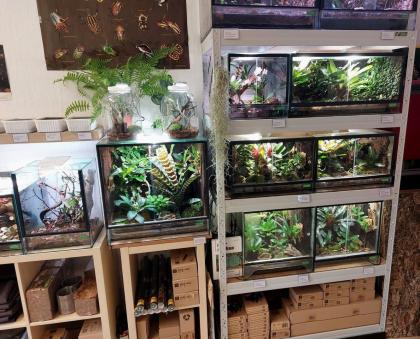 Zubehör Pflanzen Futtertiere Terrarien.