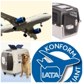 Fleying-Petbox-Flugboxen-Hundetransporttaschen-Dog carrier bags-Verleih-Vermietu