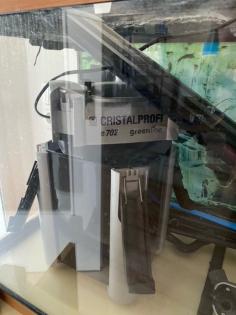 2 Axolotl inkl Aquarium und komplettem Setup zu verschenken