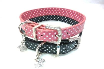 Bezauberndes Hundehalsband mit Punkten schwarz oder rosa Größe S M L
