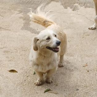 Nancy / Status sucht ein Zuhause