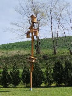 Vogelparadis mit mehreren Vogelhäusern