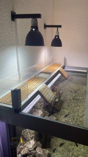 3 Wasserschildkröten Aquarium Technik und Zubehör
