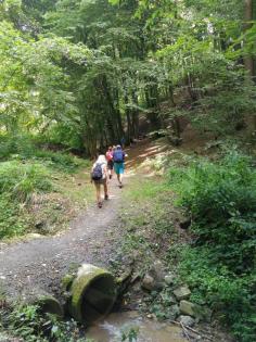 SIEBENGEBIRGE am Rhein FASTENWANDERN mit TERRA AKTIVA