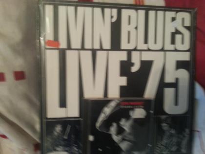 PrivaterAbverkaufDERMusiksammlungZb. Livin Blues/ SteveMarriott