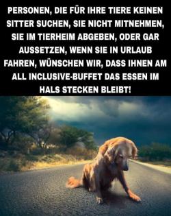 Erfahrene Hundebetreuung