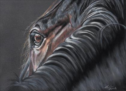 3 fertige Portraitzeichnungen Tierportraits Tiermalerei handgezeichnet in Pas