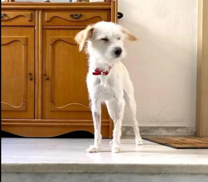 Cori sucht passendes Zuhause