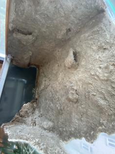 Terrarium 100x60x120