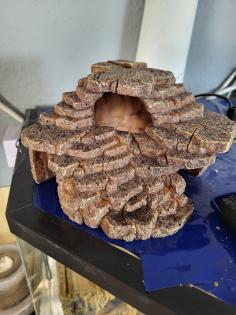 Geckos und Terrarium