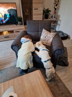 Kalle kinderlieber Terrier-Mischling