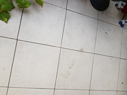 Experte zur Abdichtung eines Balkons in Diemelstadt