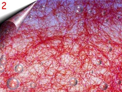 Laser Lace - Nagel Netz um 2 40Euro