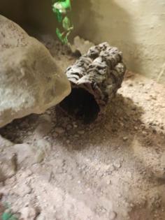 Vk Terrarium 120x80x80cm mit deko
