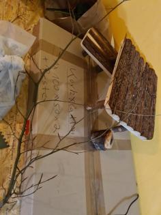 Terrarium 150x80x80 Verkauf Top Zustand