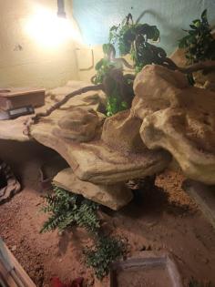 Vk Terrarium 120x80x80cm mit deko