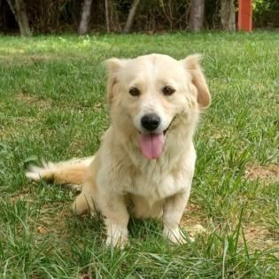 Nancy / Status sucht ein Zuhause