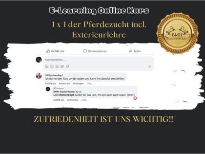 Weiterbildung Pferdezucht online