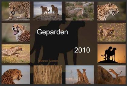 Geparden Kalender 2022
