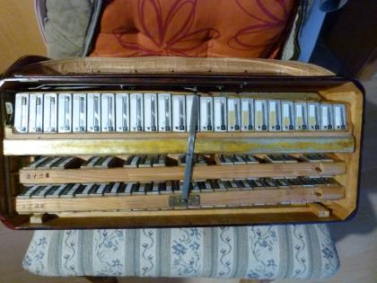 Hohner Morino IV M VM 5555