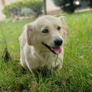 Nancy / Status sucht ein Zuhause