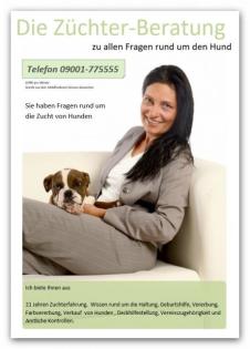 Hundeberatung Käuferberatung Züchterberatung