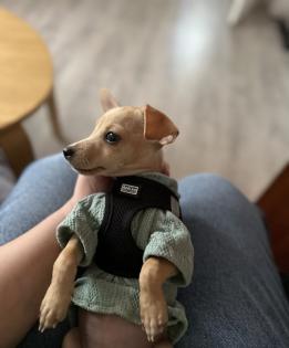 Neues Zuhause gesucht