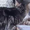 Fundkatze LUISA sucht ein Zuhause
