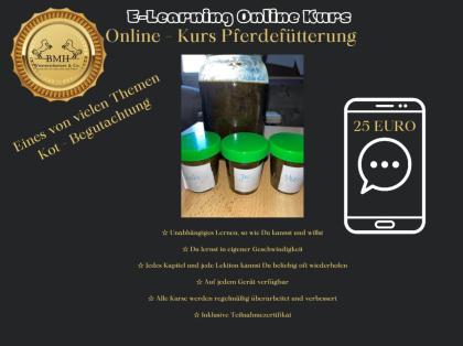 Weiterbildung Online Kurs Pferdefütterung
