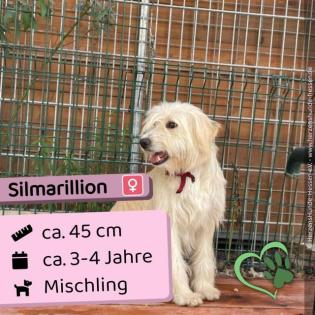 Silmarillion w 3-4 Jahre 45 cm Slowakei