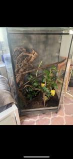 Terrarium für Echsen Chamäleon etc