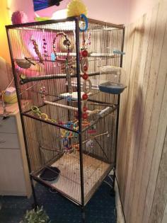 Zwei goldammerdienen mit vogelvoliere