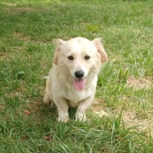 Nancy / Status sucht ein Zuhause