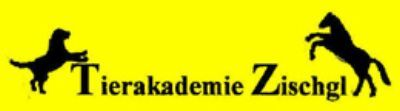 Ausbildung zum Professionellen Hundetrainer mit Abschlusszertifikat