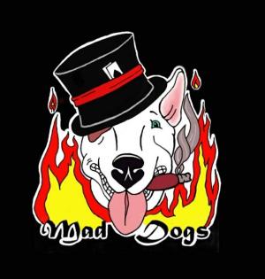Mad Dogs Zucht exellenter Miniaturbullterrier