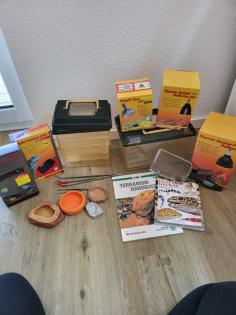 Terrarium inkl. zwei Leopardgeckos und diverses Zubehör
