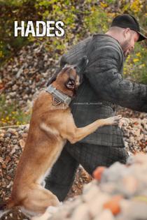 Malinois Welpen SoulGuideDogs X-Mechelaar