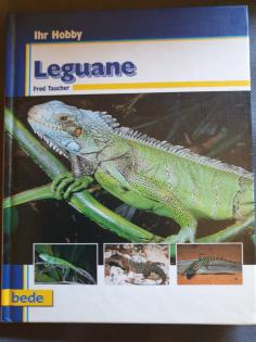 3 Bücher über Leguane und 1 Buch Dornschwanzagame zu verkaufen