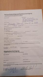 Terrarien Königspython Wir brauchen Dringend ein neues Zuhause